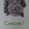 bernitou.ln.petit