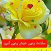 mian.fahimw