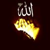 liin.ahmed3