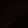 bociill_134