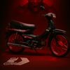 grand_alnov.p