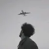 al_vi291