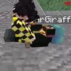 zy_hses