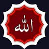 Shams Arkani5