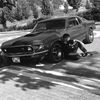 furkan34979