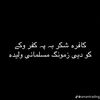 shafiq.safi80