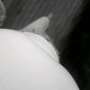 bytyqi_nisa01