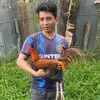 www..comlinhga
