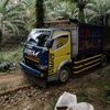 bayu66849