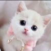 hreemhani786