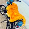 amhed4907