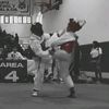 lalo19473