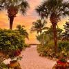 floridasunbunny