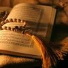 quran_49s