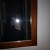 mptl__