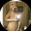 primecompani23