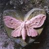 mohammed.ayoub204