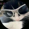 jolythestar