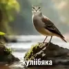 tbl_kuliibyaka