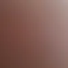 hajabsushi89