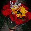 karen_34.luz6
