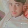 user031405814