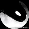 iloveplayinggames11