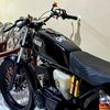 sotong115cc