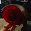 rosa.yaseer