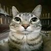 thanwachanthavong8