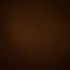 tamim60658