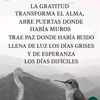 gavilancita6