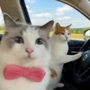 boqcutii