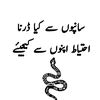 mian.nadeem.ali3