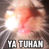 realtyycat