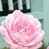 trn.th.nhu.thun