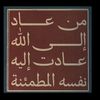 talah3593