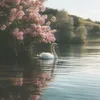 noura56090