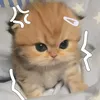 anxongroinguzzz