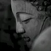 n.n354665