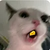 h_nhu10