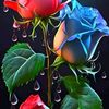 user5081200461597