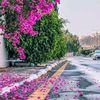 seyidemir00