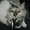 lute_angel2