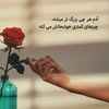 nasser.ali428