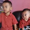 suryaningsih4889