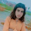 shaheen68786