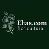 elias.com.floricu