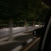 salom_248