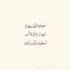 user8141575094961